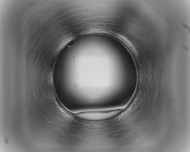 X0000098051241200804071459