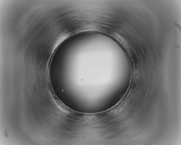 X0000098051242200804071459