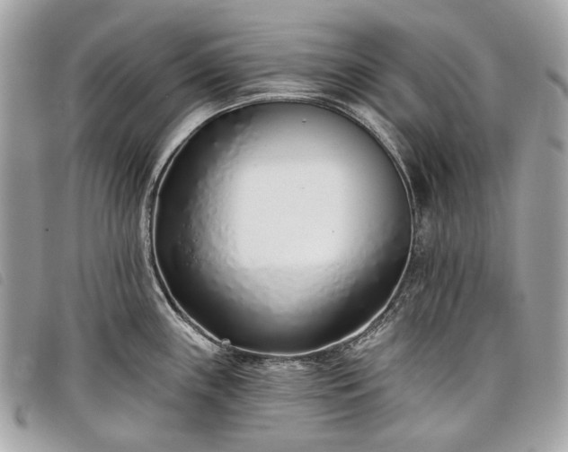 X0000098051243200804071459