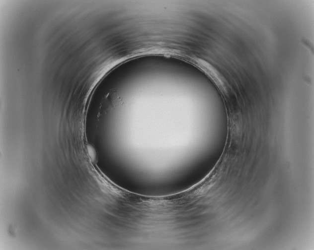 X0000098051244200804071459