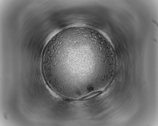 X0000098051245200804071459