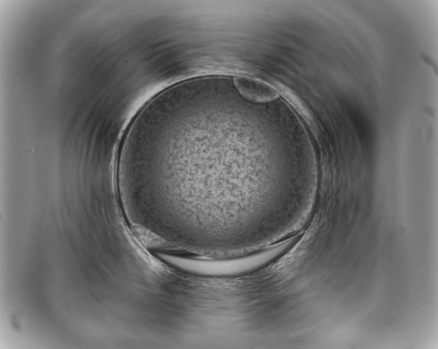 X0000098051246200804071459