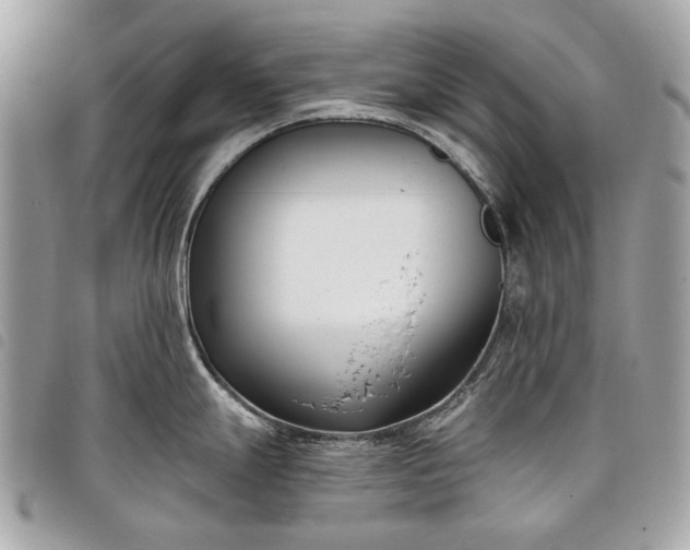 X0000098051247200804071459