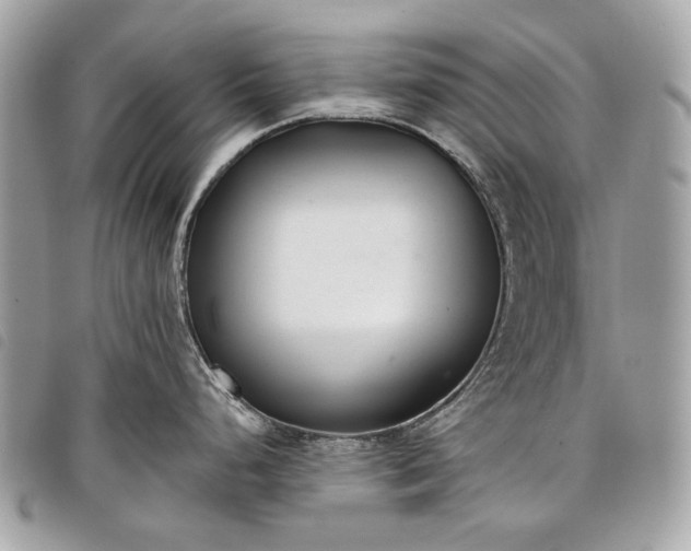 X0000098051248200804071459