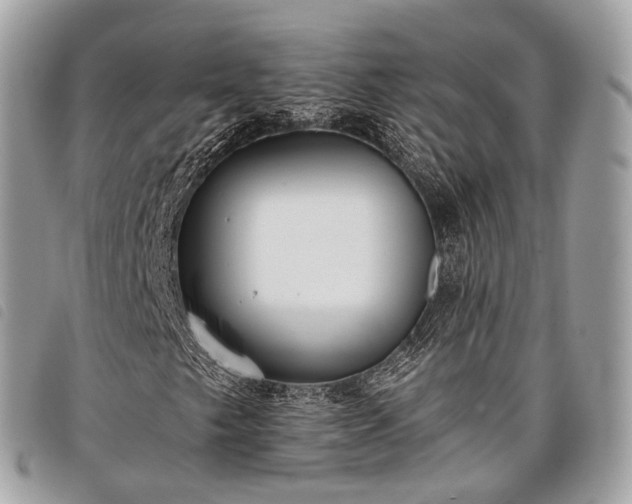 X0000098051249200804071459