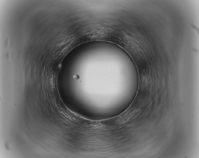 X0000098051250200804071459