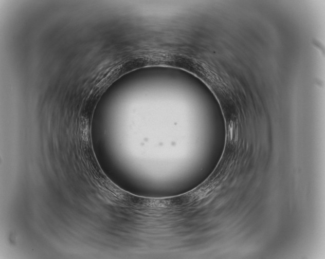 X0000098051251200804071459