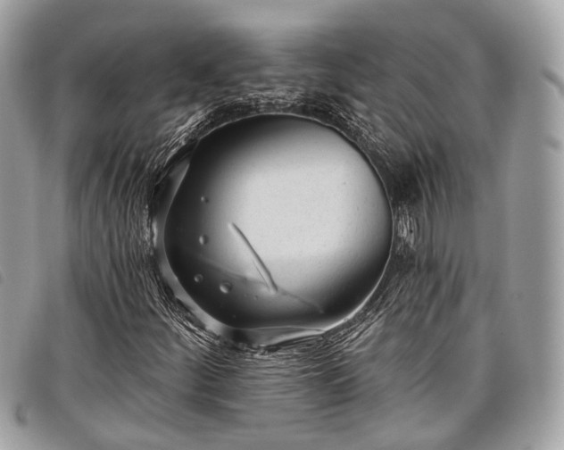 X0000098051252200804071459