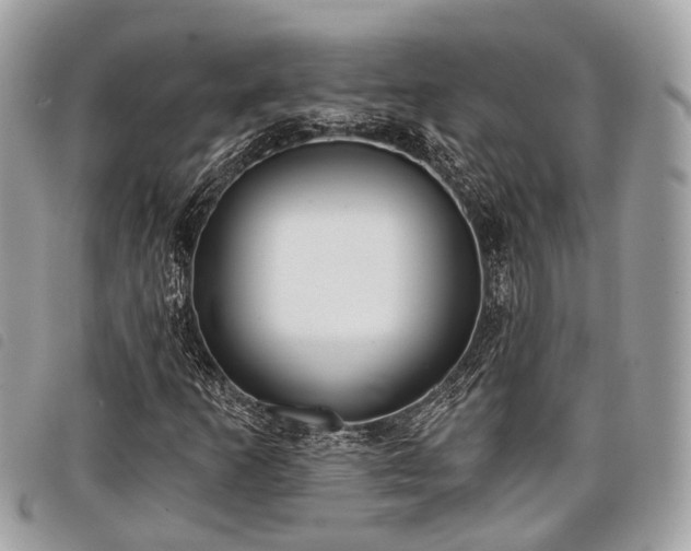 X0000098051253200804071459