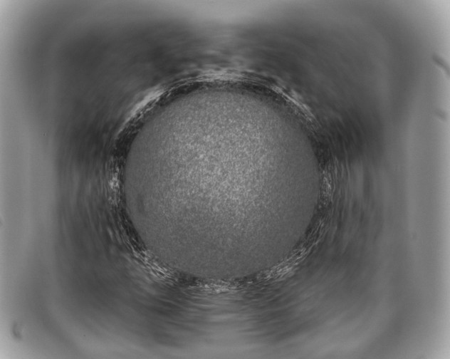 X0000098051254200804071459