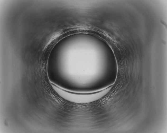 X0000098051255200804071459