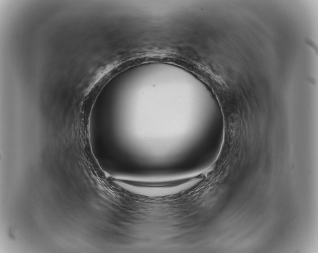 X0000098051256200804071459