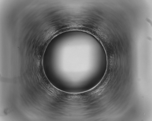 X0000098051257200804071459