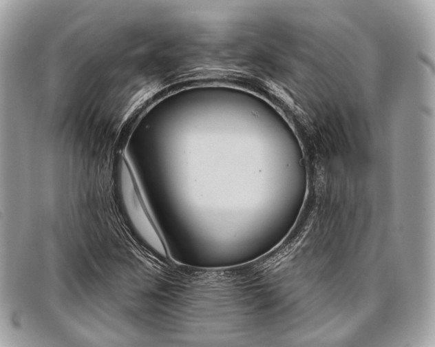 X0000098051259200804071458