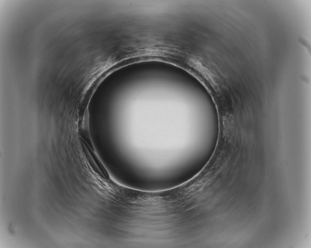 X0000098051260200804071458