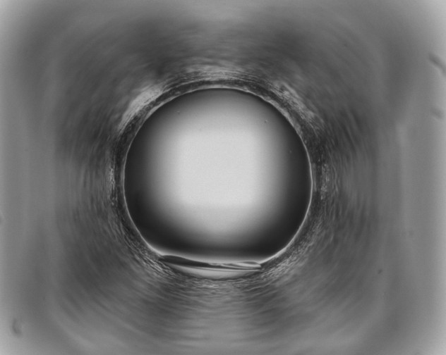 X0000098051261200804071458