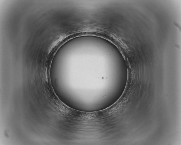 X0000098051262200804071458