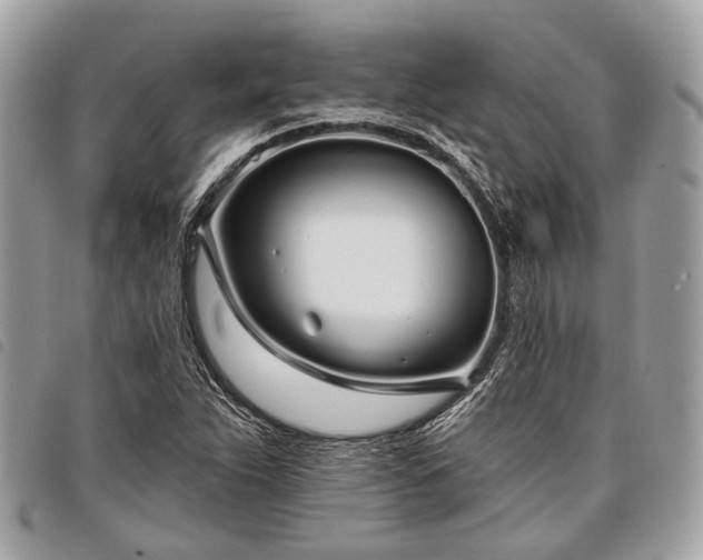 X0000098051263200804071458