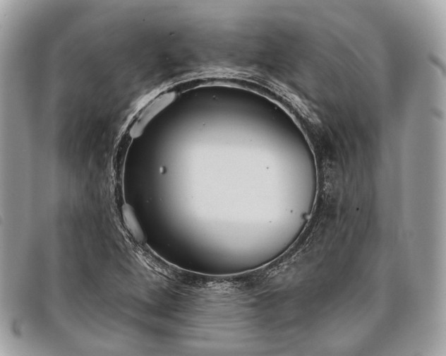 X0000098051264200804071458