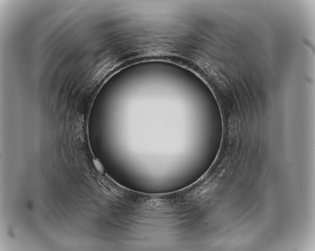 X0000098051265200804071458