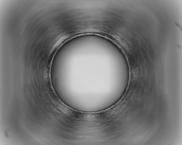 X0000098051266200804071458