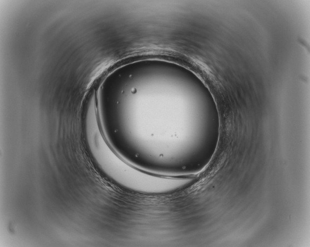 X0000098051267200804071458