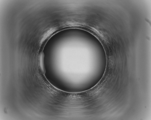 X0000098051269200804071458