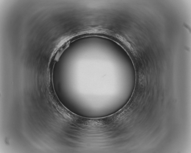 X0000098051270200804071458