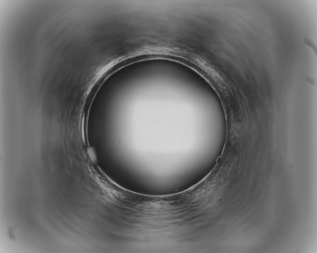 X0000098051272200804071458