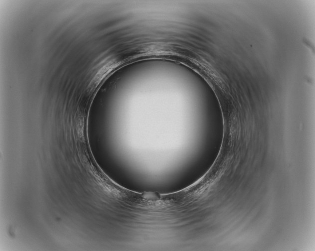 X0000098051273200804071458