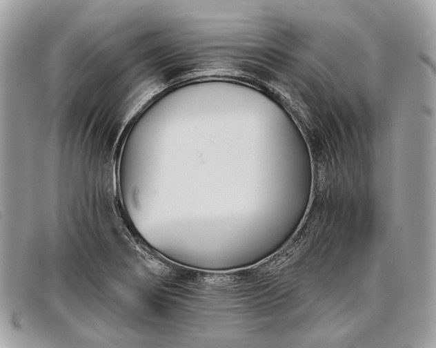 X0000098051274200804071458