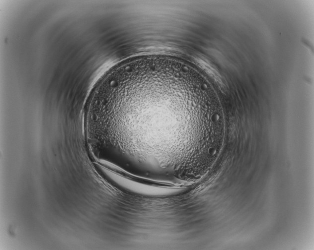 X0000098051275200804071458