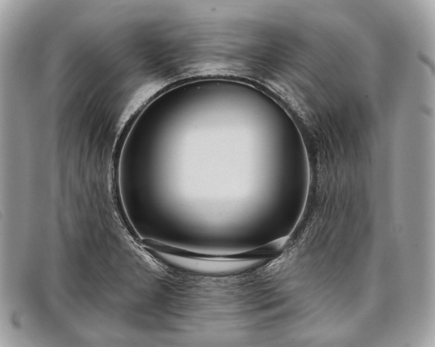 X0000098051277200804071458