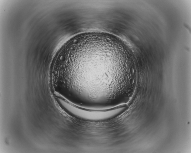 X0000098051279200804071458