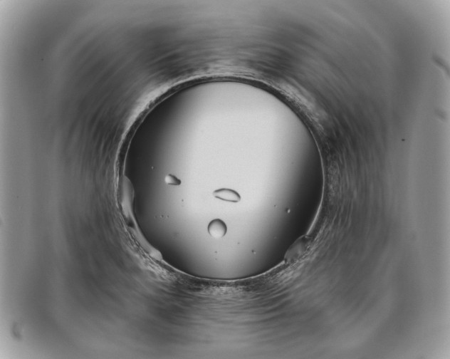 X0000098051280200804071458