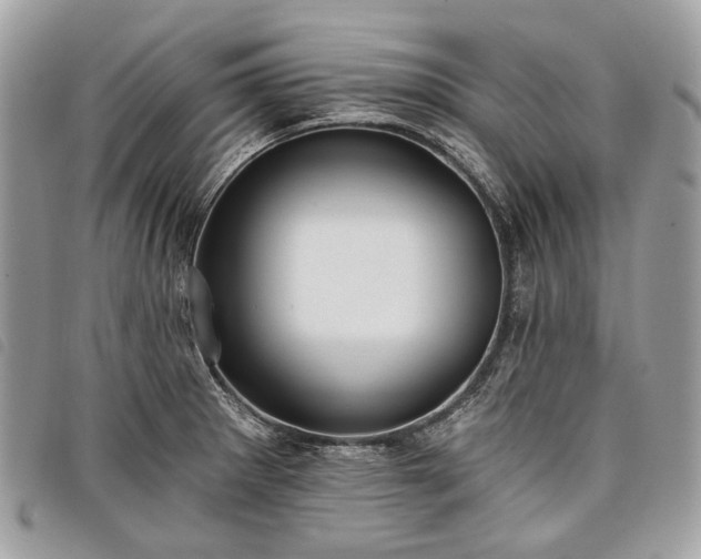 X0000098051281200804071458