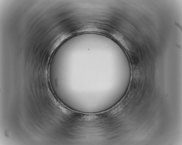 X0000098051282200804071458