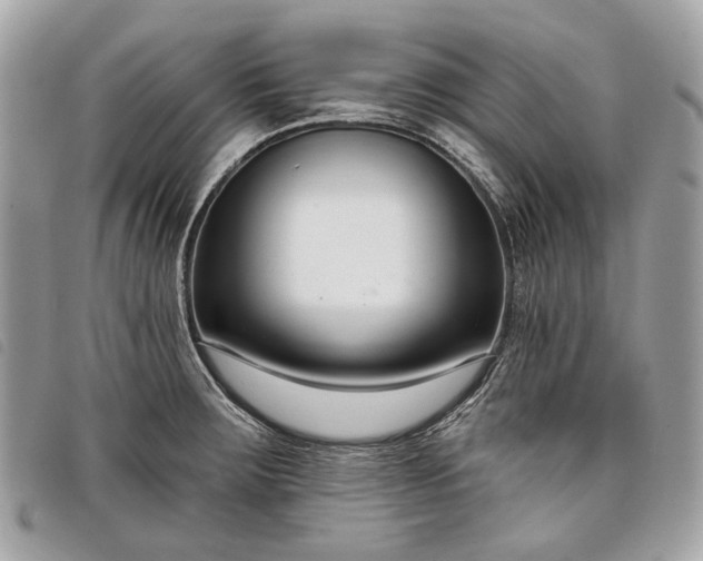 X0000098051283200804071458