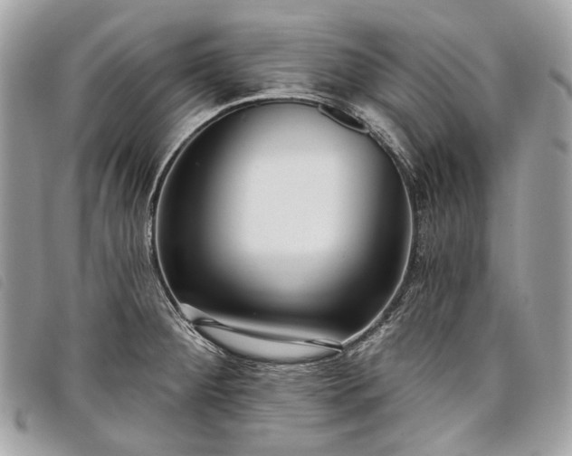 X0000098051284200804071458