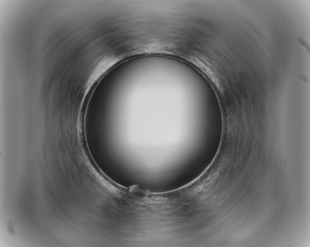 X0000098051285200804071458