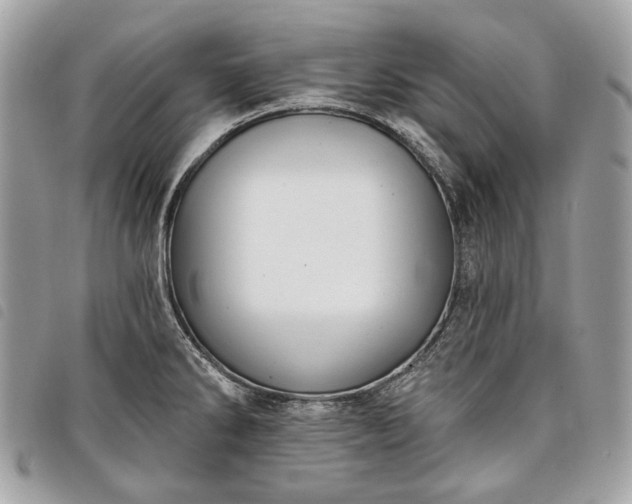 X0000098051286200804071458