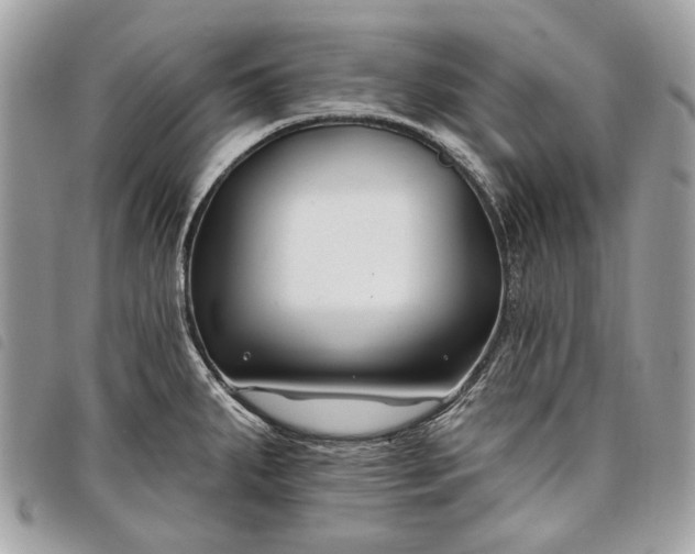 X0000098051287200804071458