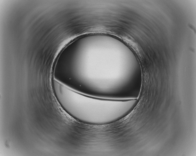 X0000098051288200804071458