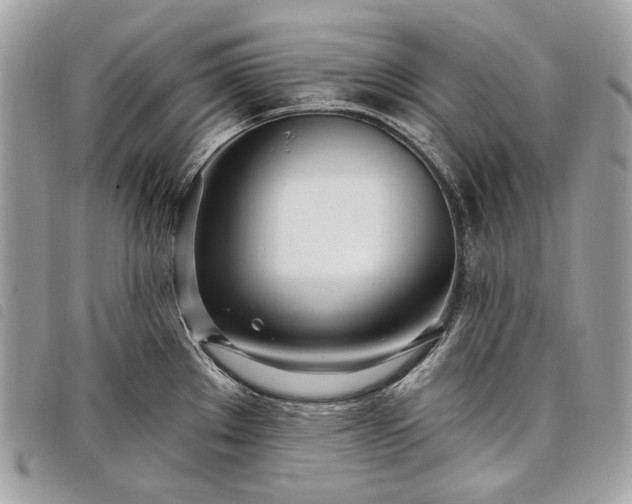 X0000098051289200804071458