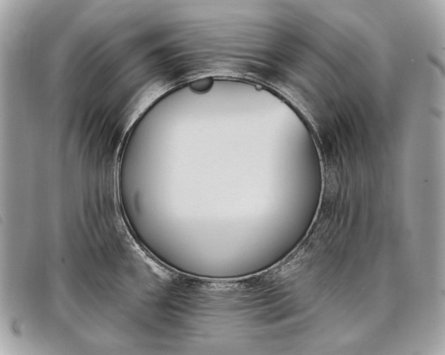 X0000098051290200804071458