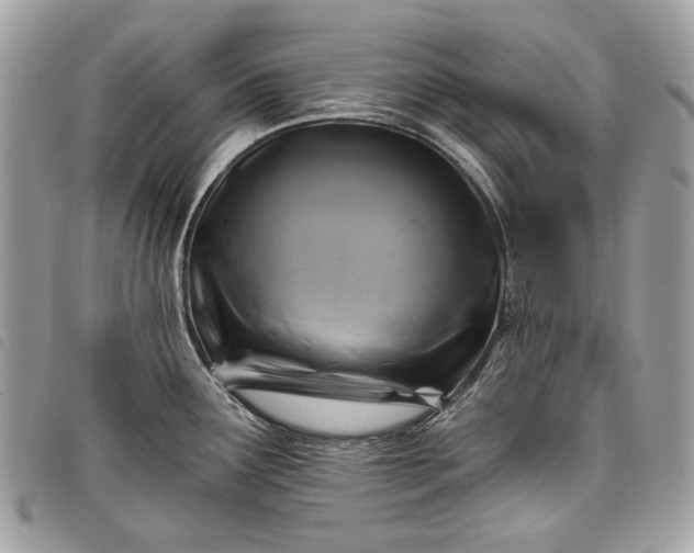 X0000098051291200804071458