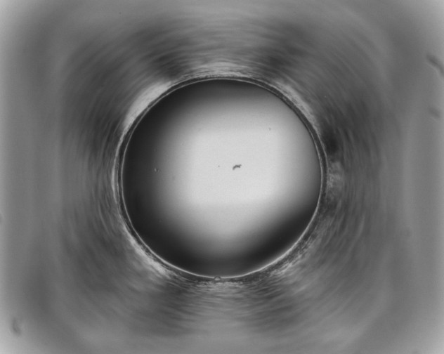 X0000098051293200804071458