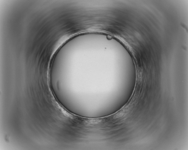 X0000098051294200804071458