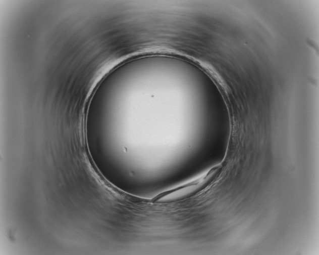 X0000098051295200804071458