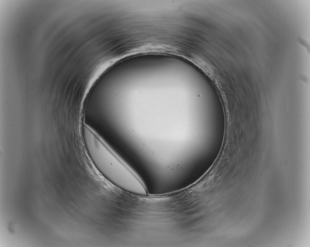 X0000098051296200804071458